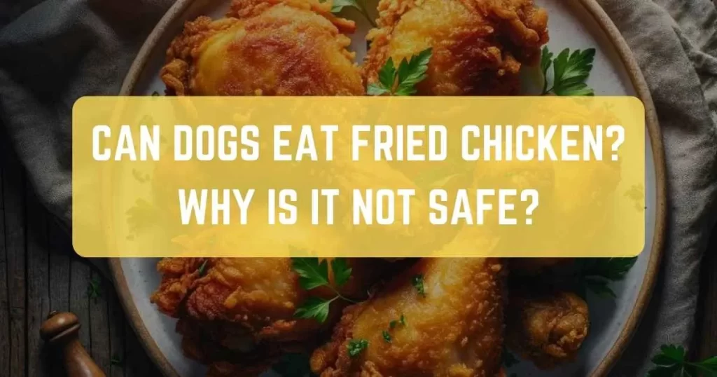 Fried Chicken For Dogs