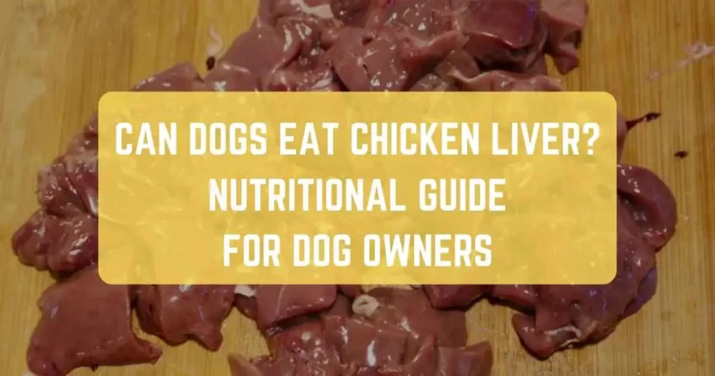 Can-Dogs-Eat-Chicken-Liver