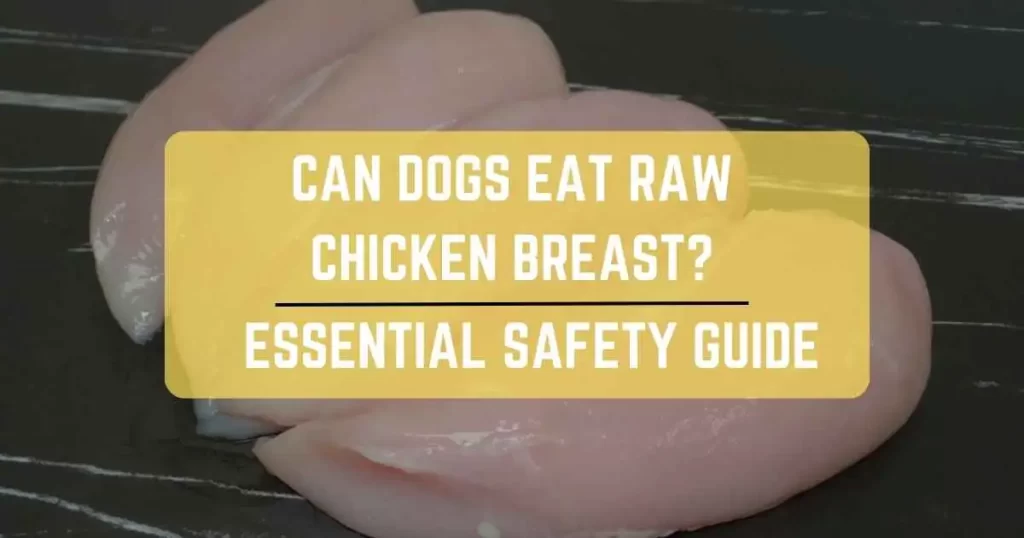 Can Dogs Eat Raw Chicken Breast