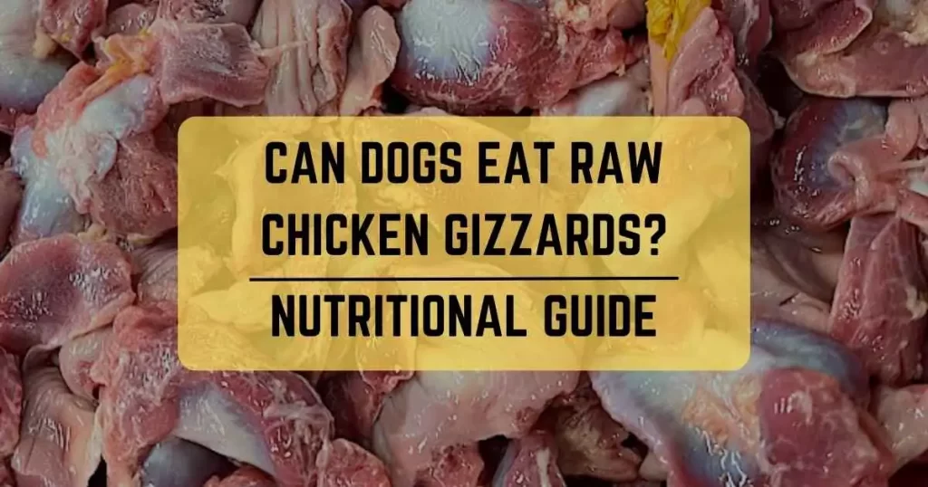 Can Dogs Eat Raw Chicken Gizzards