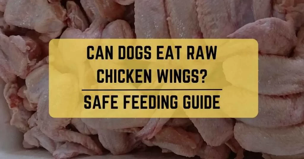 Can Dogs Eat Raw Chicken Wings