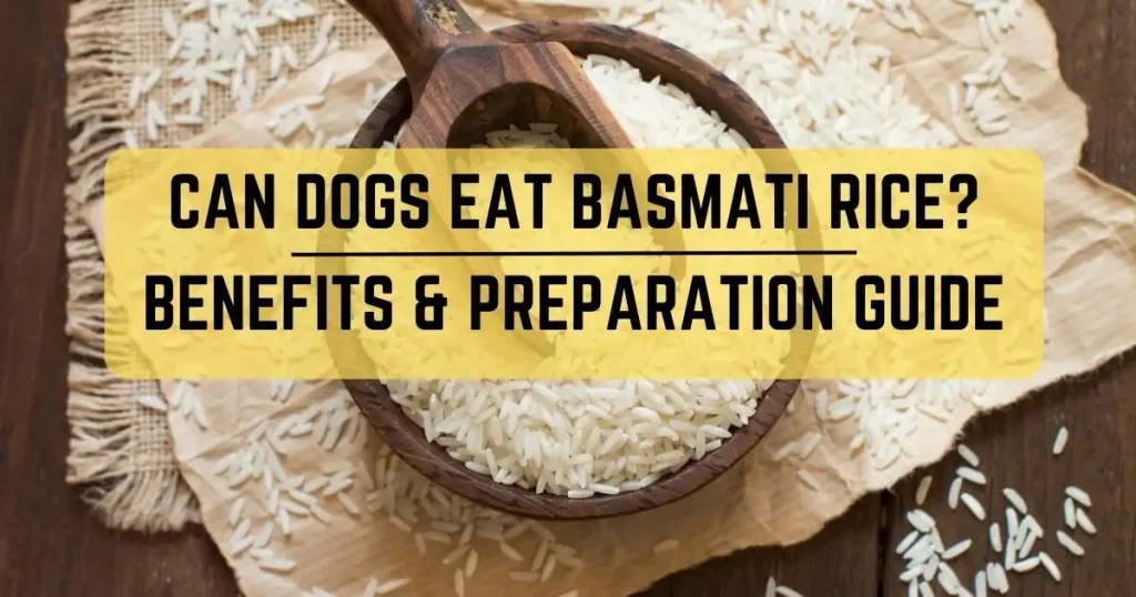 Can Dogs Eat Basmati Rice