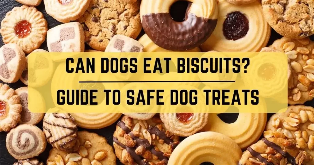 Can Dogs Eat Biscuits