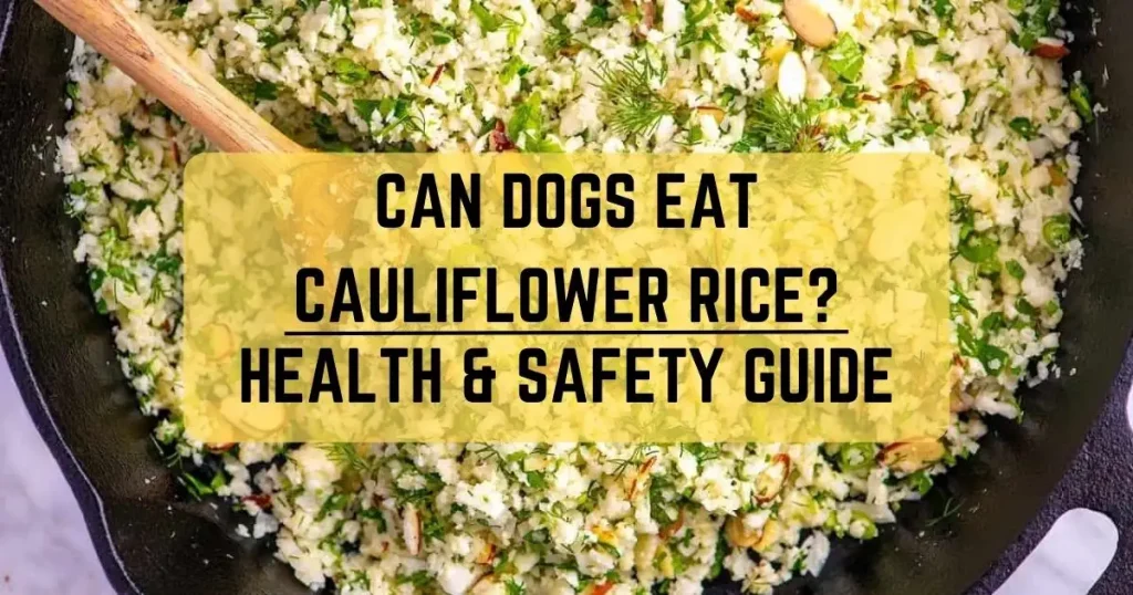Can Dogs Eat Cauliflower Rice