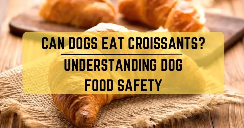 Can Dogs Eat Croissants
