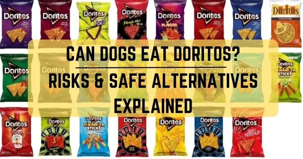 Can Dogs Eat Doritos