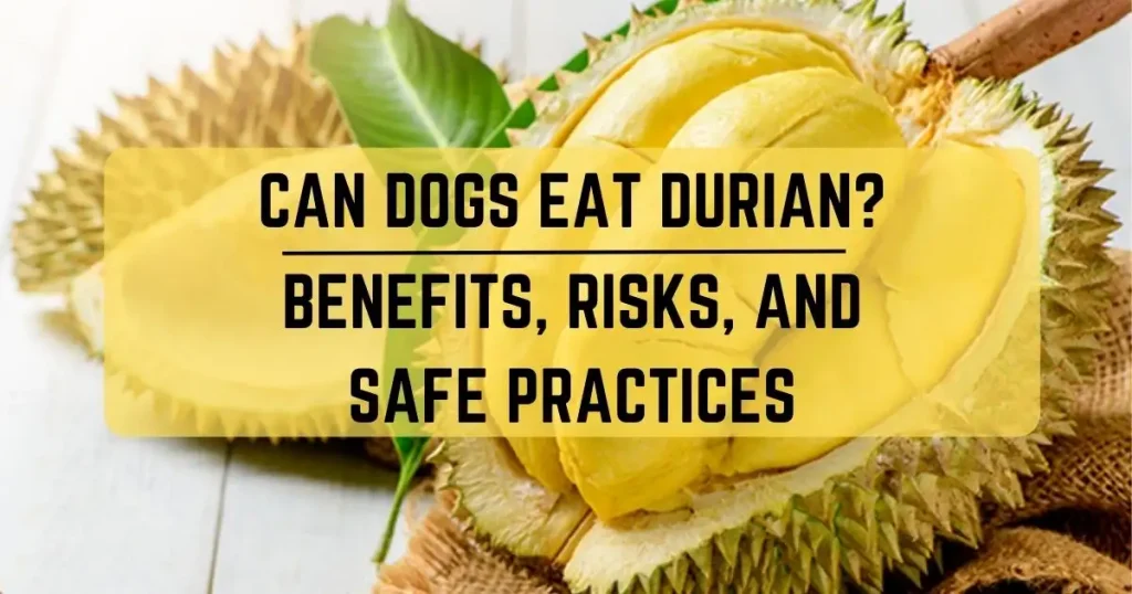 Can Dogs Eat Durian