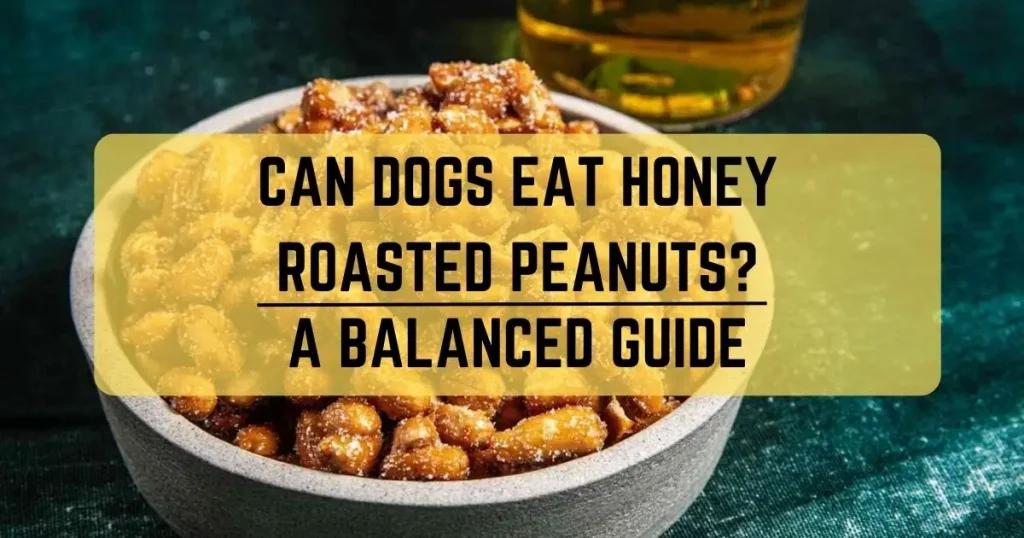 Can Dogs Eat Honey Roasted Peanuts