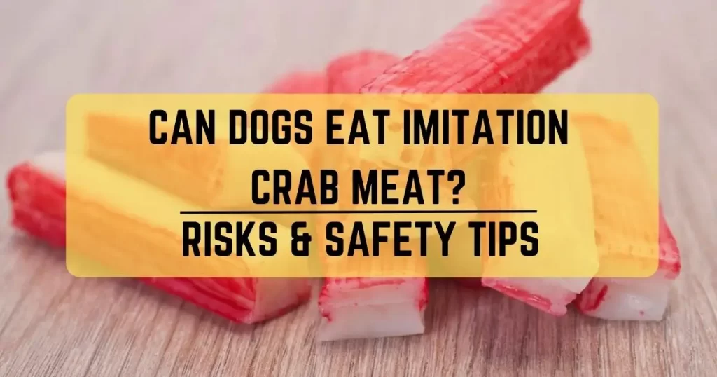 Can Dogs Eat Imitation Crab Meat