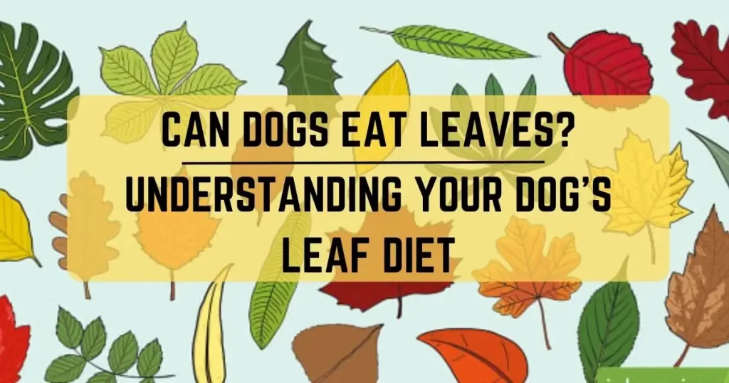 Can Dogs Eat Leaves