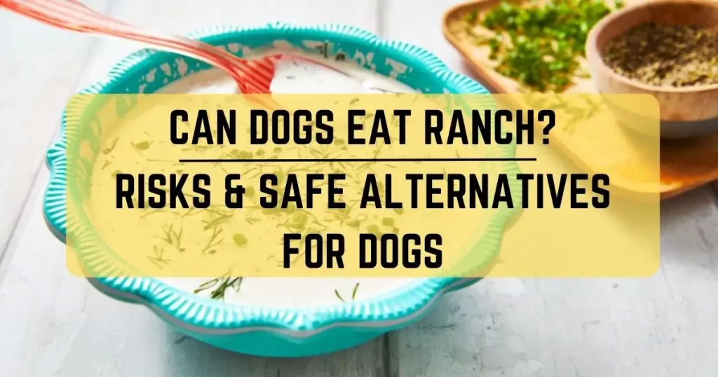 Can Dogs Eat Ranch