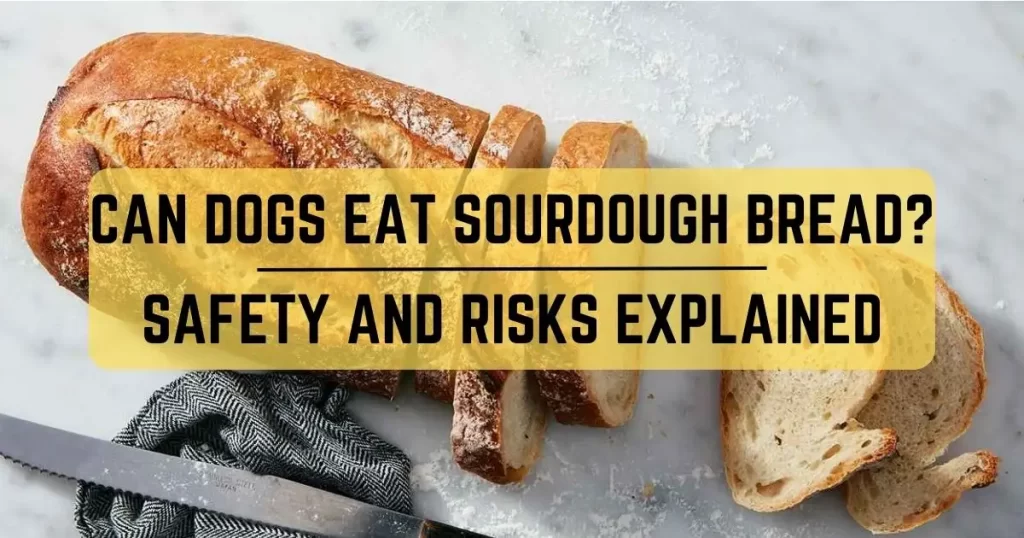 Can Dogs Eat Sourdough Bread