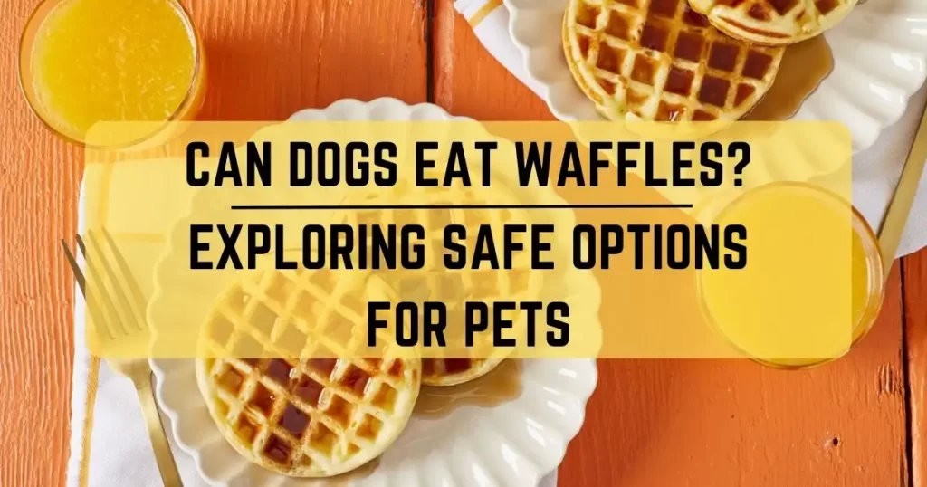 Can Dogs Eat Waffles