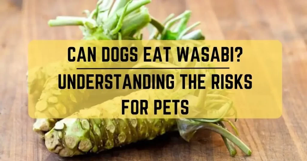 Can Dogs Eat Wasabi