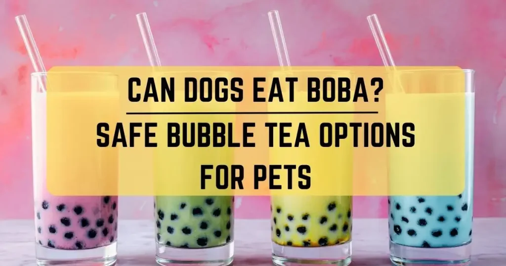 Can Dogs Eat Boba