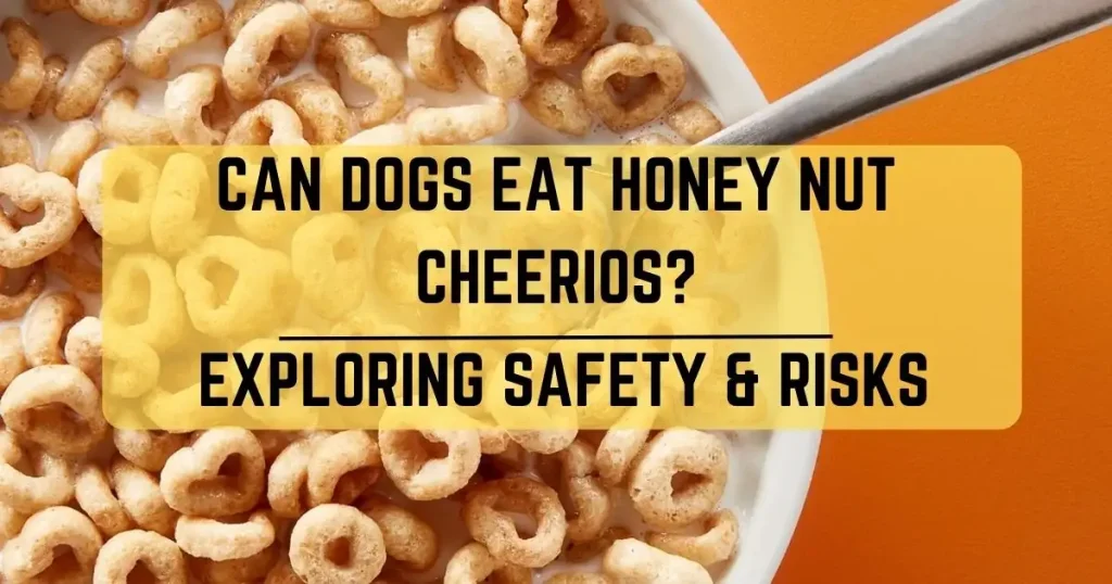Can Dogs Eat Honey Nut Cheerios