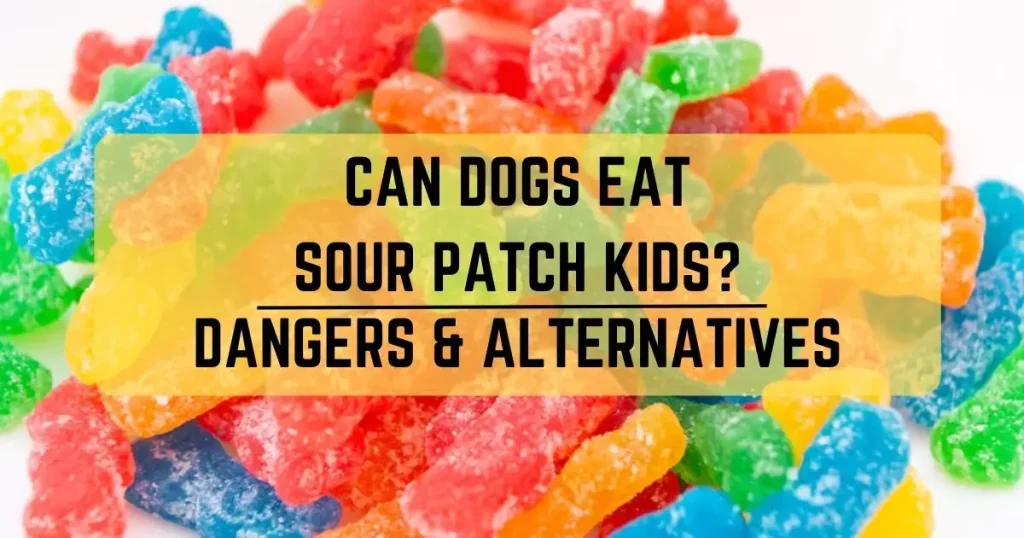 Can Dogs Eat Sour Patch Kids