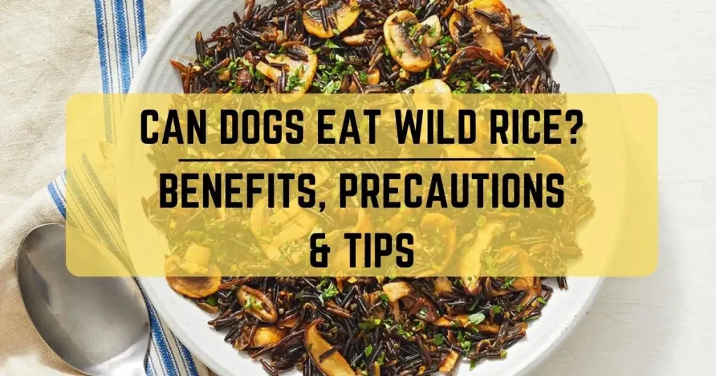 Can Dogs Eat Wild Rice