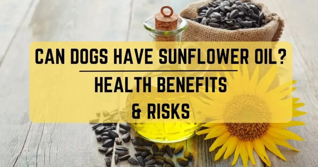Can Dogs Have Sunflower Oil