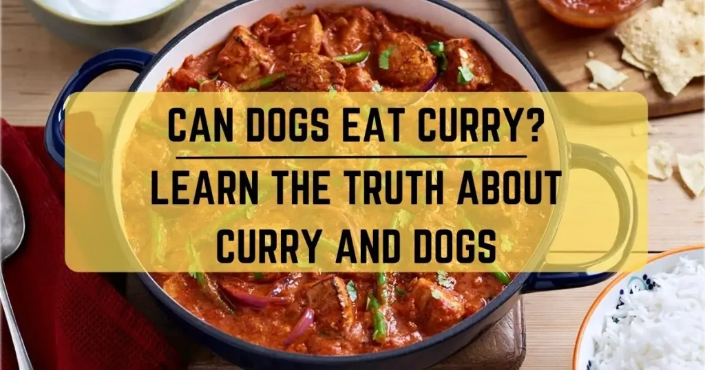 Can Dogs Eat Curry