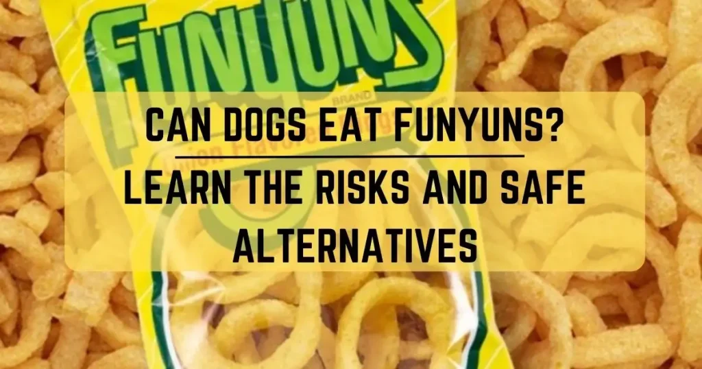 Can Dogs Eat Funyuns