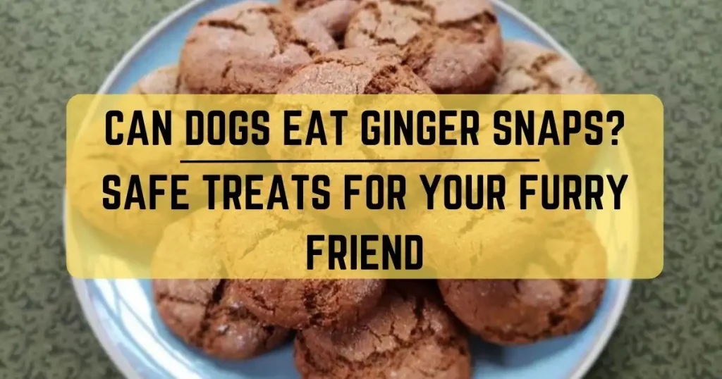Can Dogs Eat Ginger Snaps
