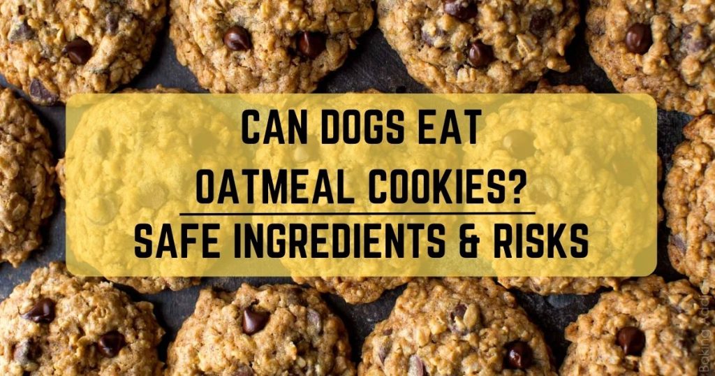 Can Dogs Eat Oatmeal Cookies